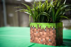 a potted plant sitting on top of a green table