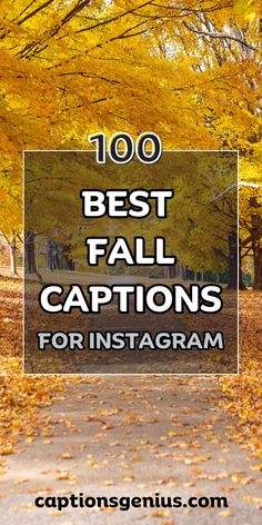 the words best fall captions for instagram