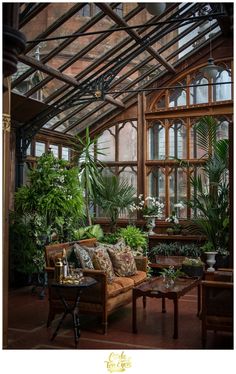 a living room filled with lots of plants and furniture