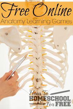 a skeleton is shown with the text free online anatomy learning games