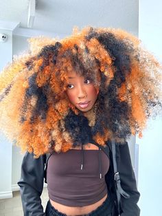 Afro With Highlights, Dark And Lovely Hair Dye, Dyed Afro Hair 4c, Afro 4c Hairstyles, Dyed Afro, Colored Afro, Afro Hair Dye, Afro Hair Woman, Dream Eater