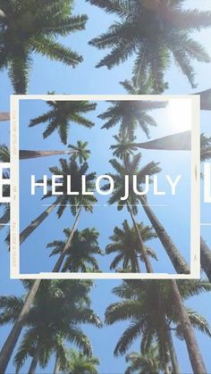 the words hello july are surrounded by palm trees