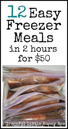 freezer meals in 2 hours for $ 60 are easy to make and cost less