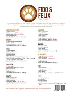 Fido and Felix Make and Take Workshop Kit For Dogs, Cats, Pets and Animals Recipe Sheets Doterra Dogs, Essential Oils Dogs, Săpunuri Handmade, Doterra Essential Oils Recipes, Perfume Recipes, Recipe Sheets, Oils For Dogs, Yl Essential Oils, Young Living Oils