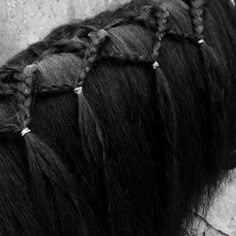 a black and white photo of a horse with long hair on it's back