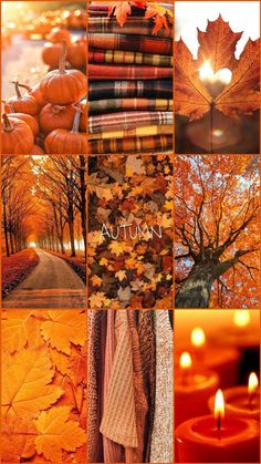 an autumn collage with candles and leaves