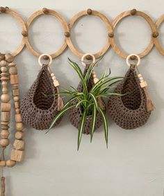 three crocheted planters hanging on a wall with wooden circles around them and a small air plant in the middle