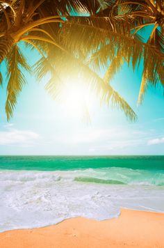 the sun shines brightly through some palm trees over an ocean beach with white foamy waves