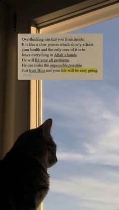 a cat sitting in front of a window looking out at the sky