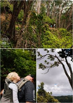 three pictures of people walking in the woods, one is carrying a baby and another has a backpack on his back