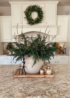 a large potted plant sitting on top of a kitchen counter next to candles and wreath