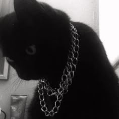 a black cat with a chain around its neck