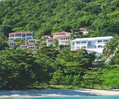 houses on the side of a hill with trees in front of them and blue water below