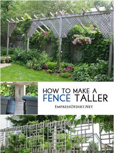 an image of a fence with flowers growing on it and the words how to make a fence taller