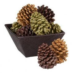 several pine cones in a black bowl on a white background