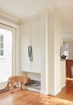 a dog is eating food out of the water dish on the floor in front of an open window