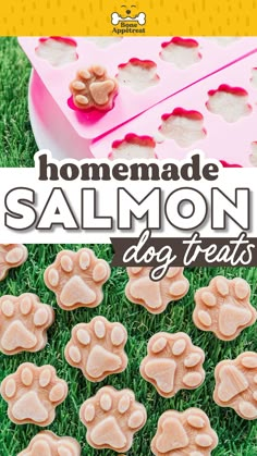 homemade salmon dog treats on the grass with text overlay that reads homemade salmon dog treats