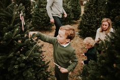 two adults and a child picking out christmas trees