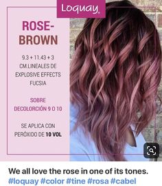 Rose Gold Hair Brunette, Brown Ombre Hair, Hair Color Formulas, Red Fall, Caramel Highlights, Hair Color Ideas For Brunettes, Winter Hair, Rose Gold Hair, Hair Color And Cut