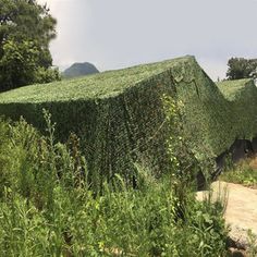 an unusual house made out of plants in the middle of a dirt road surrounded by trees and bushes