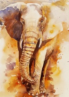 an elephant is shown in this watercolor painting