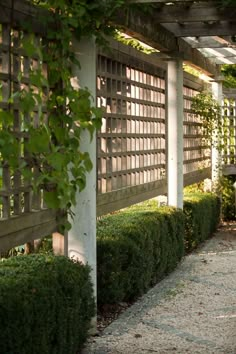 a bench sitting next to a lush green hedge covered garden area in front of a wooden pergolated fence