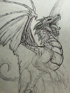 a drawing of a dragon with its wings spread