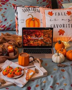 a laptop computer sitting on top of a bed next to pumpkins and other decorations