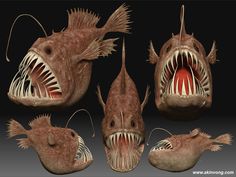 some very strange looking fish with sharp teeth