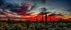 the sun is setting over a desert with cacti