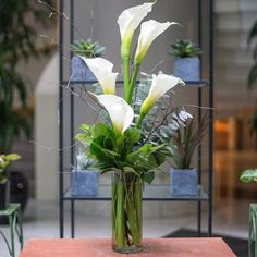 a vase filled with white flowers sitting on top of a table next to potted plants