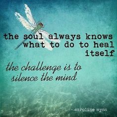 the soul always knows what to do to heal itself, the challenge is to science the mind