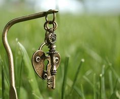 an old key is hanging from a hook in the grass