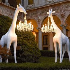 two white giraffes with chandeliers in front of a building