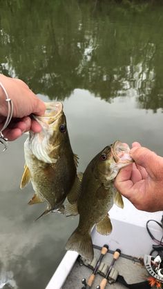 two small fish being held up by someone's hands on a boat in the water