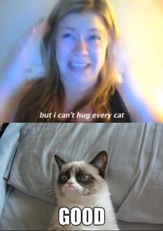 a cat sitting on top of a bed next to a woman with the caption, but i can't hug every cat