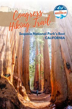 the cover of congress hiking trail in sequia national park's best california