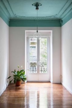 an empty room with a potted plant on the floor