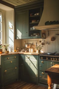 a kitchen with green cabinets and wooden floors is pictured in this image, the sun shines through the window