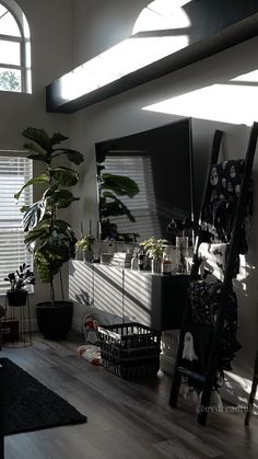 a living room filled with lots of furniture and plants