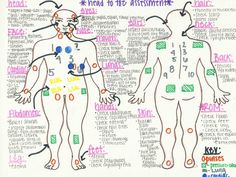 a diagram of the human body with labels on each side and words written in different languages