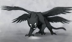 a black and white drawing of a bird with its wings spread out, it's eyes open