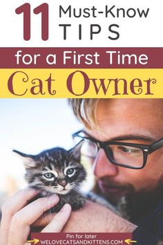 a man holding a kitten with the title 11 must - know tips for a first time cat owner