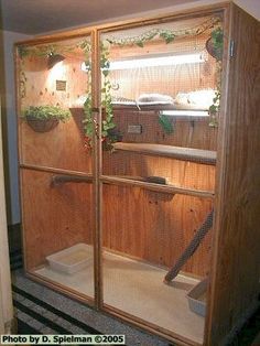 a room that has some plants on the wall and in front of an open door