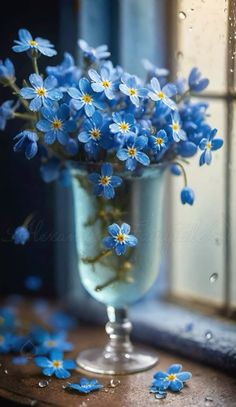 blue flowers in a glass vase sitting on a window sill with water droplets around them