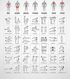 an exercise chart showing the different exercises to do with your body's core muscles