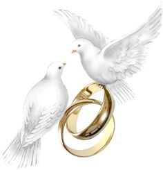 two white birds standing next to each other on top of a gold wedding band and ring