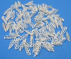 many white plastic pieces on a blue surface with one piece cut out to look like leaves