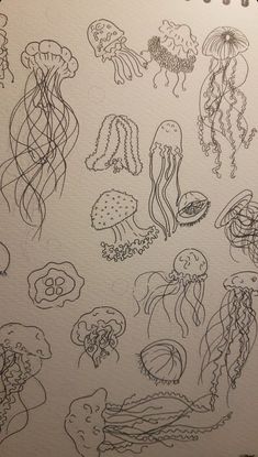 a drawing of jellyfishs and other sea creatures on a sheet of white paper