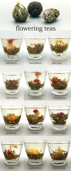 several different types of flowers in glass bowls with names on the bottom and below them